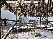 Tiberio-Valerio-000000-Seafood-from-Norway-2022