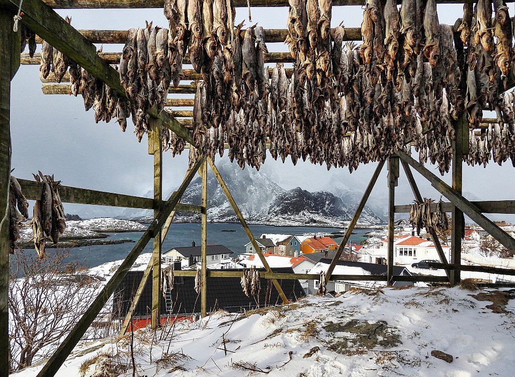 Tiberio-Valerio-000000-Seafood-from-Norway-2022.jpg