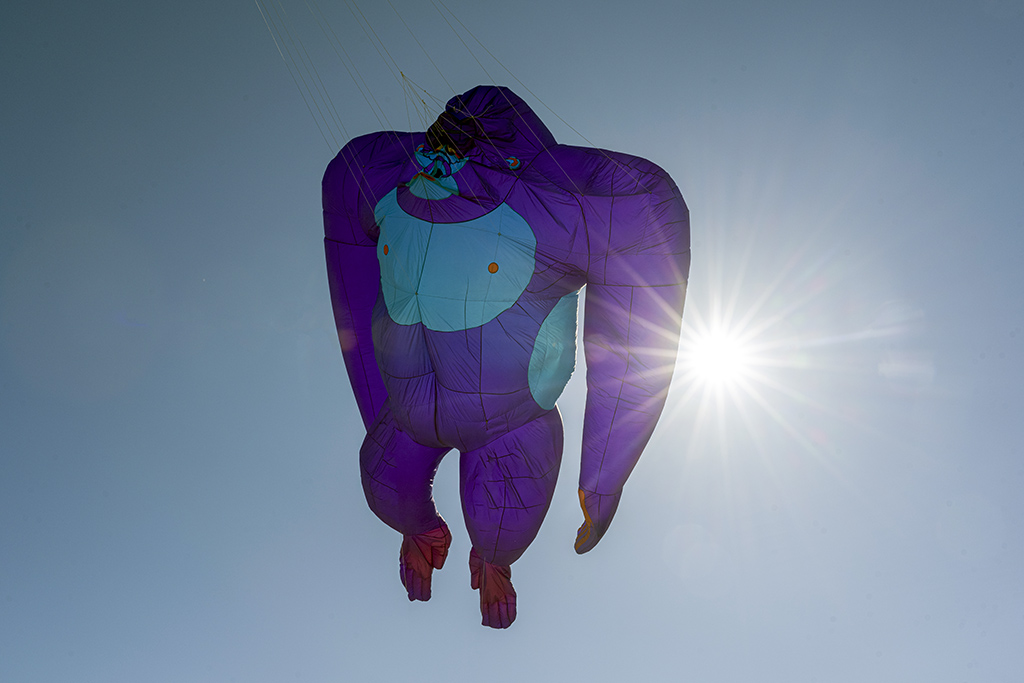 _NZ72804.jpg
