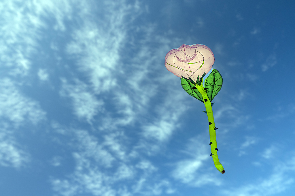 _NZ73054.jpg