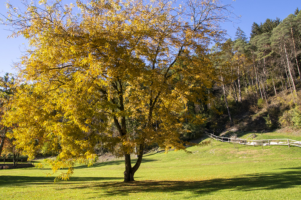 9_DSC9684.jpg