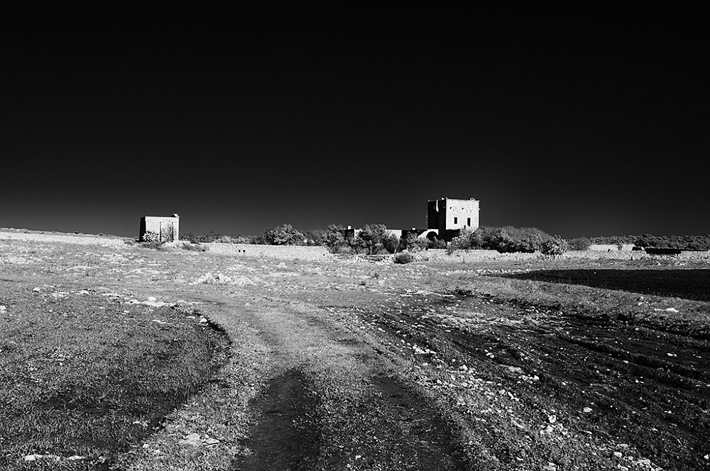 DSC_0069.jpg