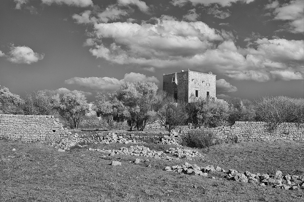 DSC_0077.jpg