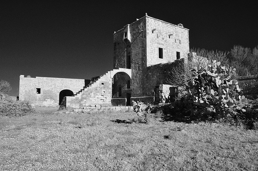 DSC_0081.jpg