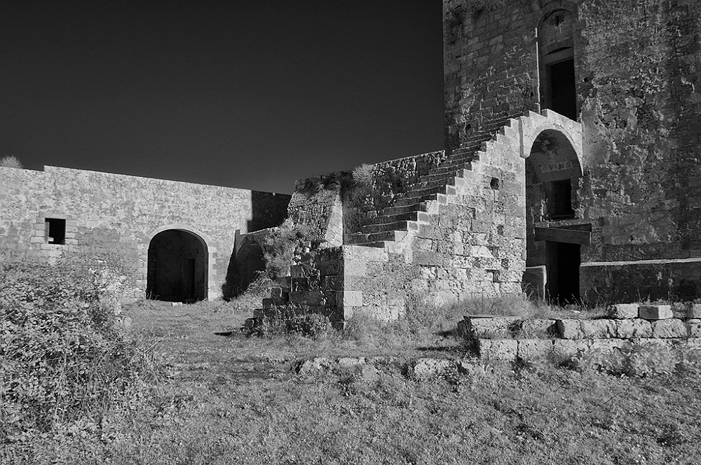 DSC_0082.jpg