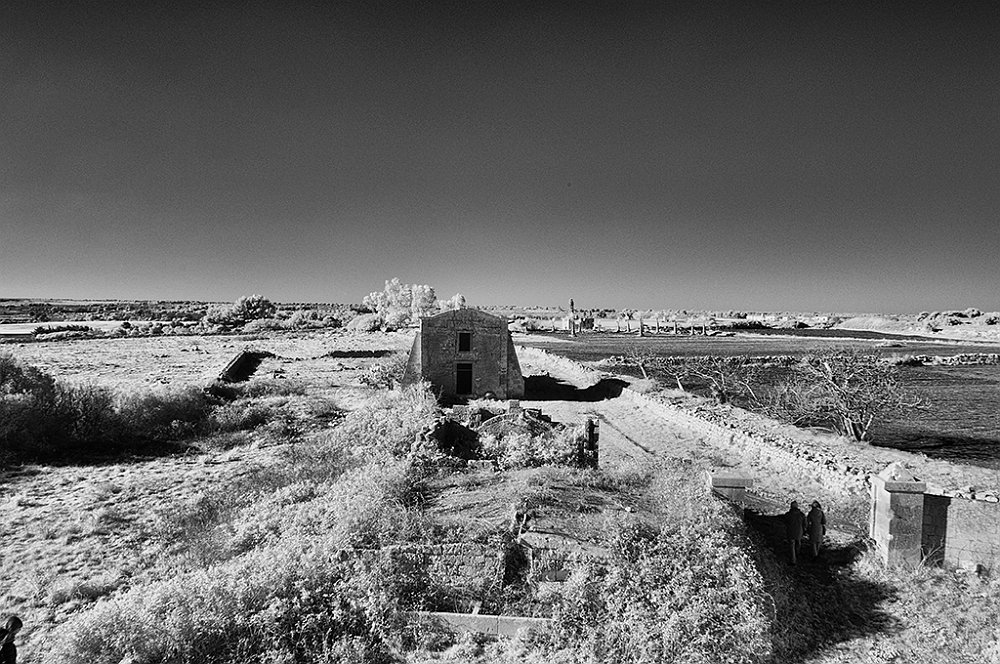 DSC_0096.jpg