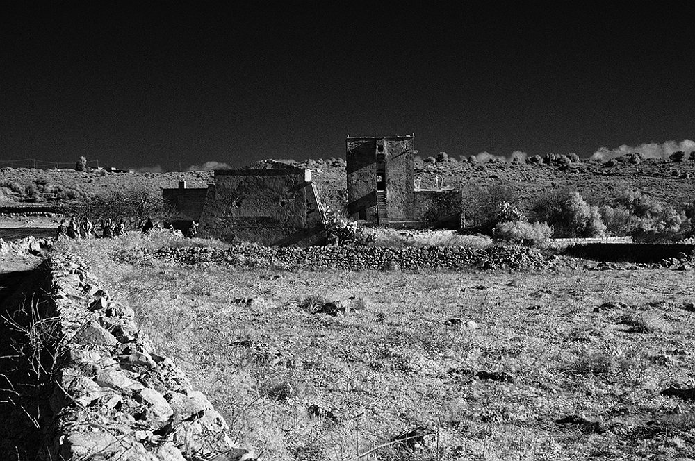 DSC_0100.jpg