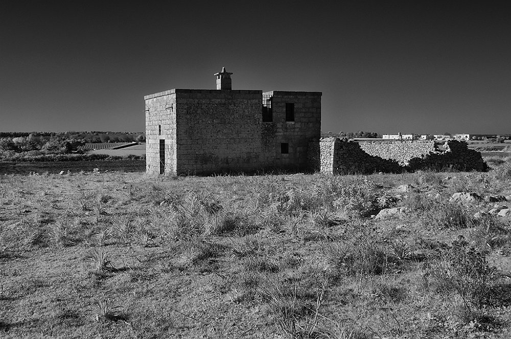 DSC_0101.jpg