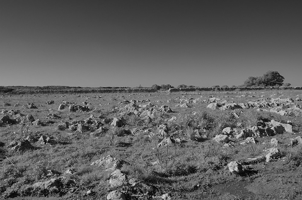 DSC_0108.jpg