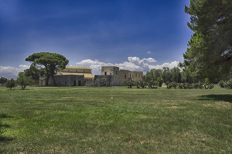 CAS_2204.jpg