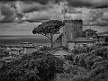 DSCF8900
