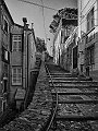 DSCF8911