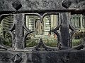DSCF8927