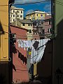 DSCF8938
