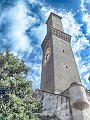 DSCF8979