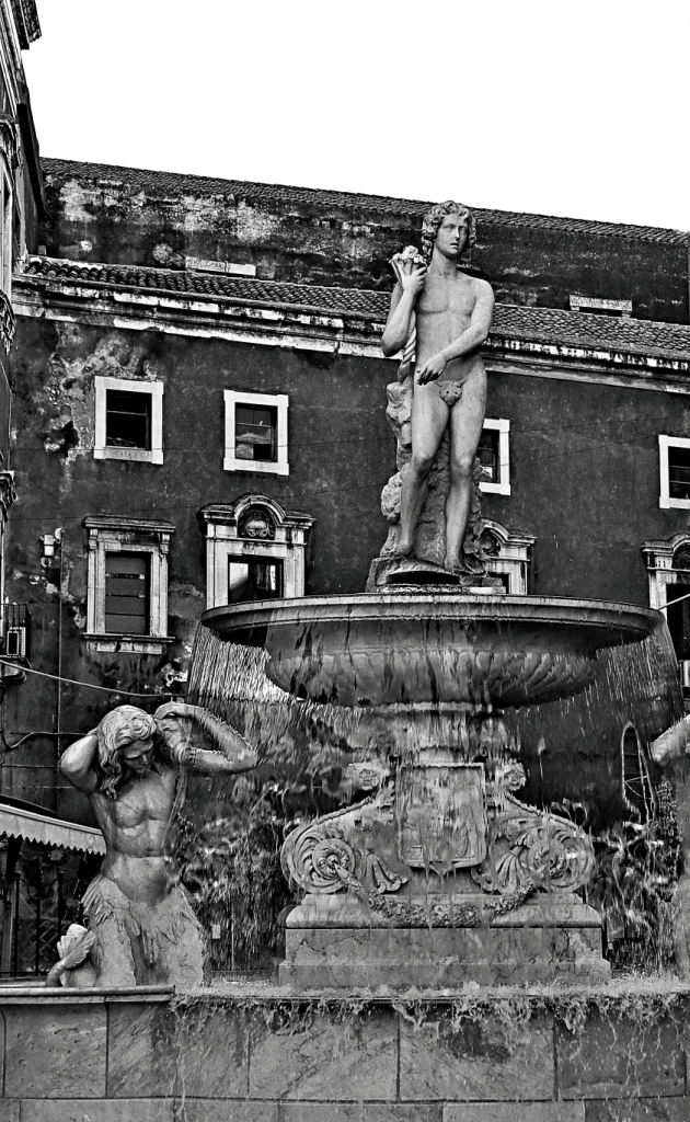 foto11.jpg