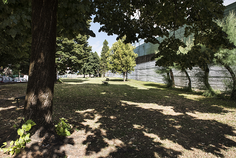 01_DSC0896b.jpg