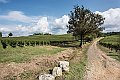 02_DSC2998a