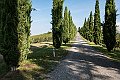03_DSC2962a