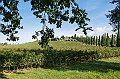 04_DSC2959a
