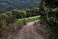 10_DSC3064a