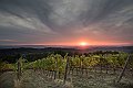 11_DSC3295