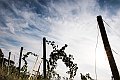 19_DSC3031