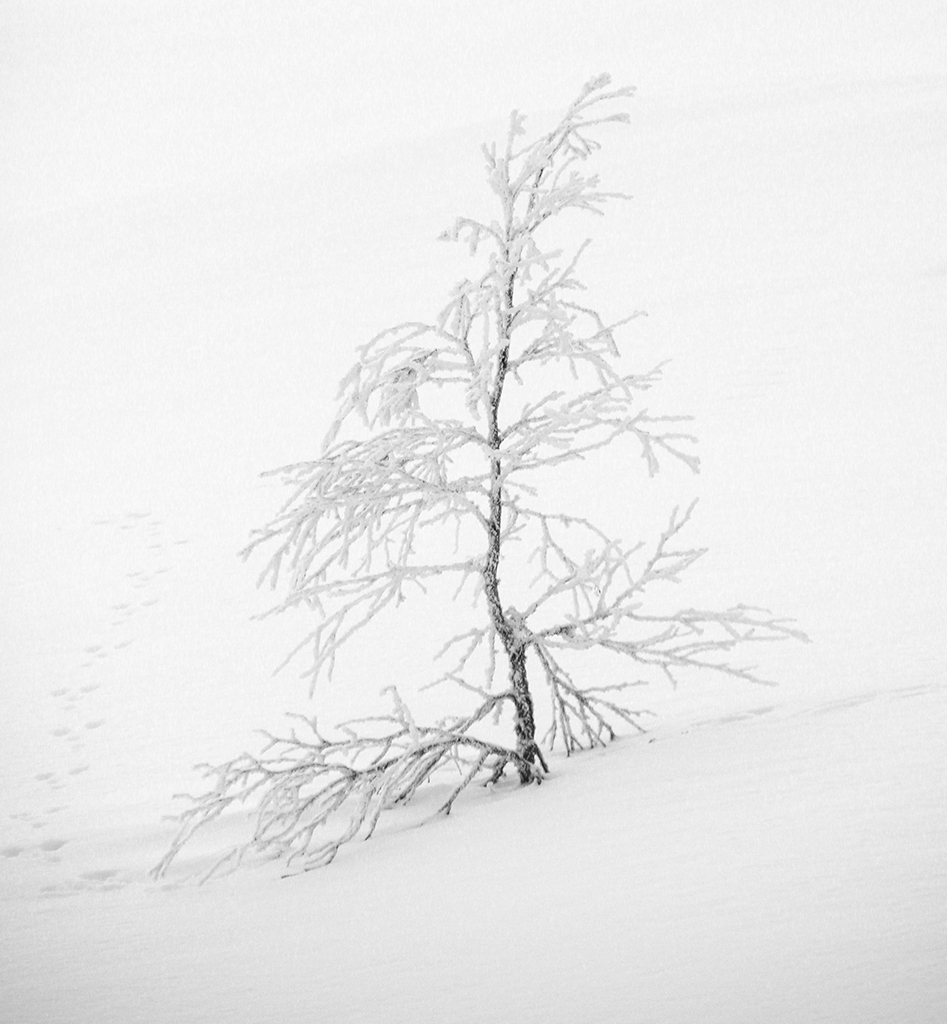 Finland82.JPG