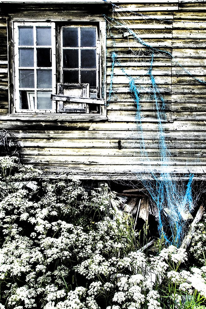 Lofoten196.JPG - OLYMPUS DIGITAL CAMERA