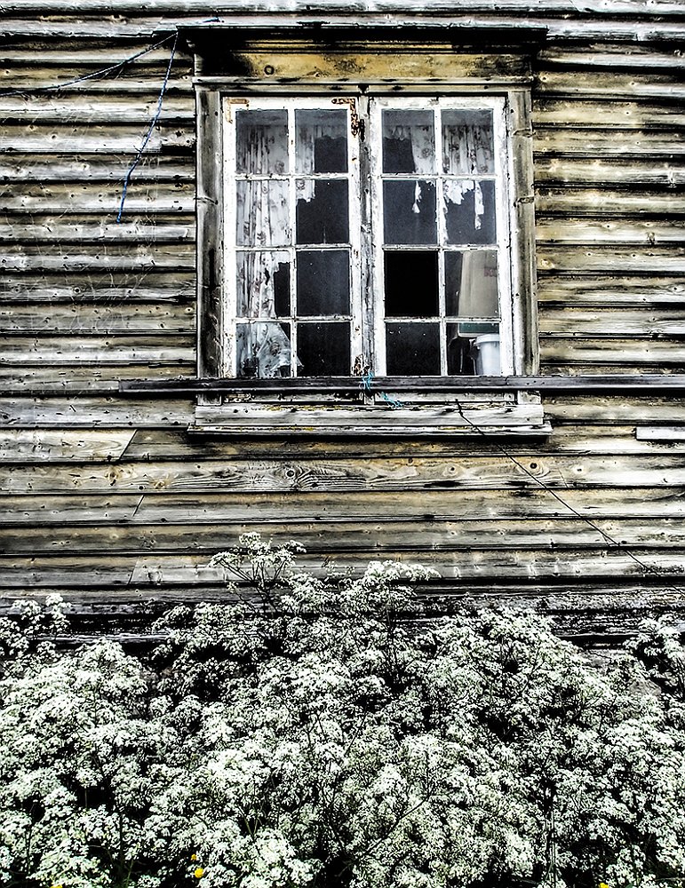 Window109.JPG - OLYMPUS DIGITAL CAMERA