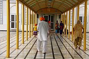 IMG_5195