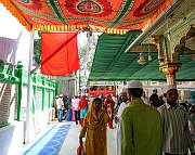 India233