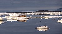 Seal64