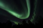 NL102_1