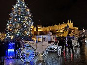 IMG_20191207_202810