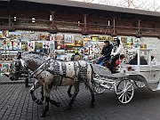 IMG_20191208_132858