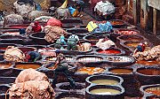 Tannery10