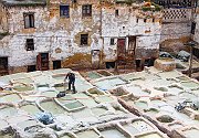 Tannery12