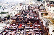Tannery28