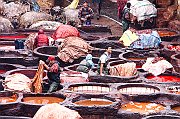 Tannery3