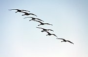 IMG_3663