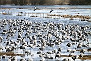 IMG_3693