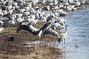 IMG_3715