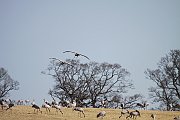 IMG_3728