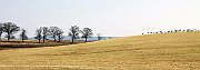 IMG_4354