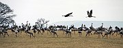 IMG_4740