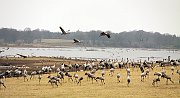 IMG_4746