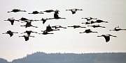 IMG_5061