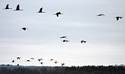 IMG_5066