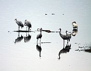 IMG_5078